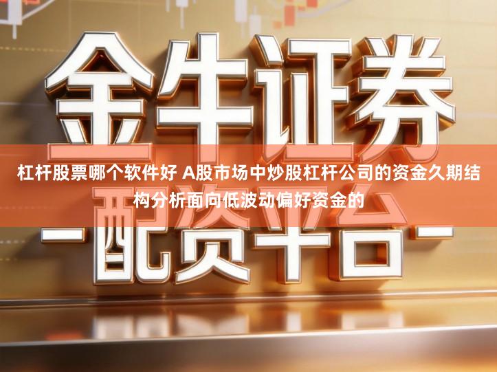 杠杆股票哪个软件好 A股市场中炒股杠杆公司的资金久期结构分析面向低波动偏好资金的